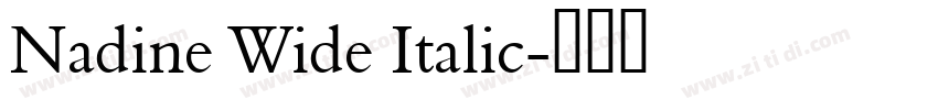 Nadine Wide Italic字体转换
